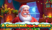 A Christmas Full of Wilds
