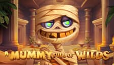 A Mummy Full of Wilds