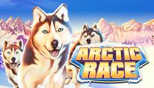 Arctic Race