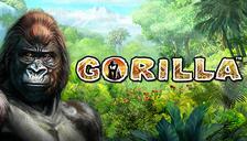Highroller Gorilla