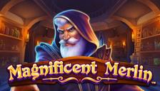 Magnificent Merlin