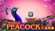 Power Prizes - Noble Peacock